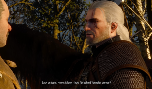 Exploring the Continent: A Comprehensive Guide to The Witcher® 3: Wild Hunt