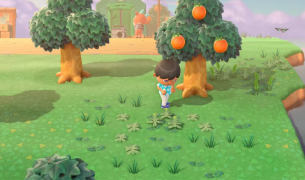 Island Paradise: Secrets to Building the Perfect Community in Animal Crossing™: New Horizons